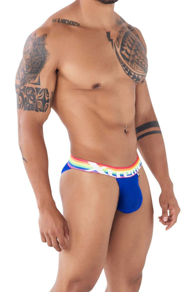 Pride Mesh Bikini