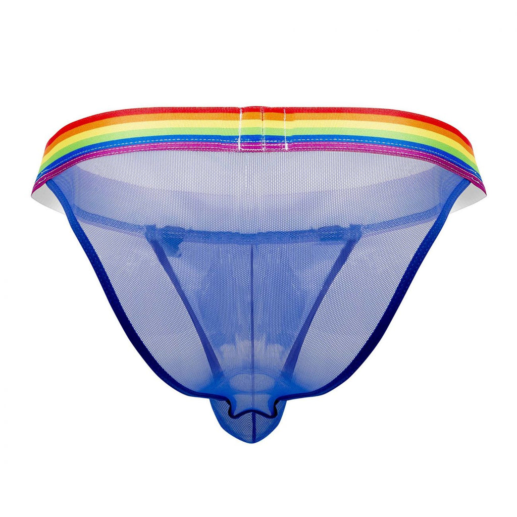 Pride Mesh Bikini